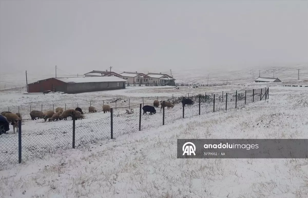 dogu karadenizin yuksek kesimleri beyaza burundu KFzdZ1pB