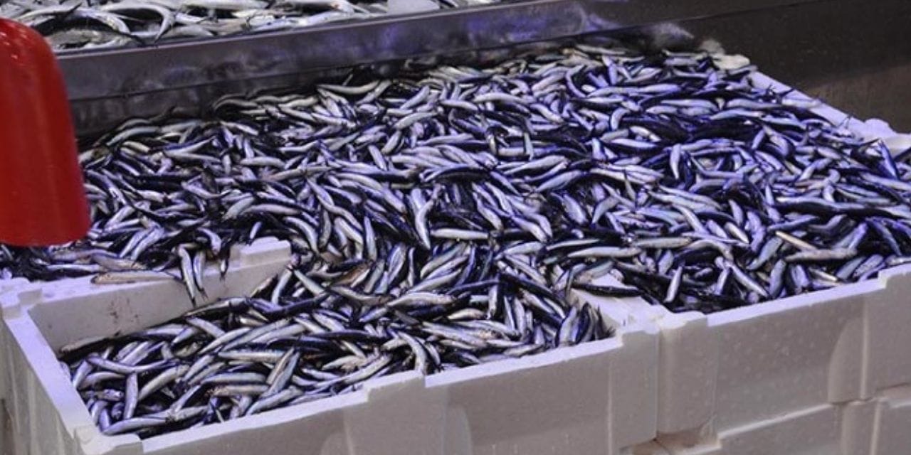 fiyati 100 liraya indi vatandas hucum etti WY9hQPwC