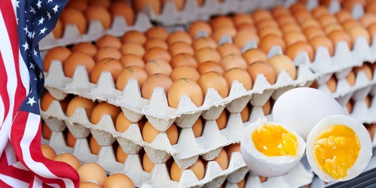 salgin vurdu abd turkiyeden milyonlarca yumurta aldi Hflq81Bw