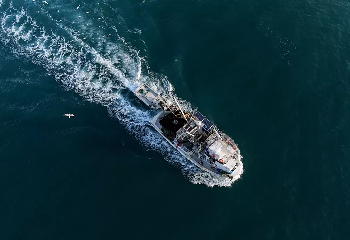 egeliler sardalya bereketiyle donuyor mJeKKHDt.jpg