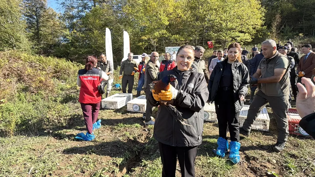 kahverengi kokarca ile mucadelede sulun salimi pHWqcOni.jpg