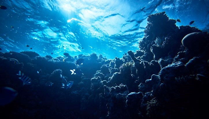 okyanusun altindan siziyor antarktikada sasirtan kesif N8qTxROy