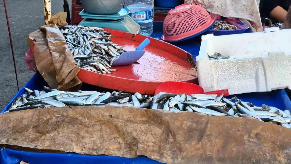 suleymanpasada seyyar balik satisi OKOygkpm