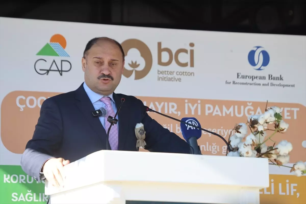 sanliurfada iyi pamuk projesi tarla gunu etkinligi gerceklestirildi 2RKQecdz.jpg